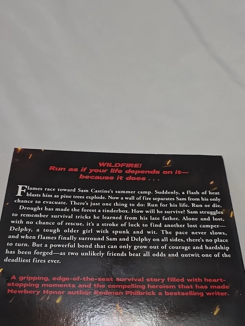 Scholastic Wildfire Book